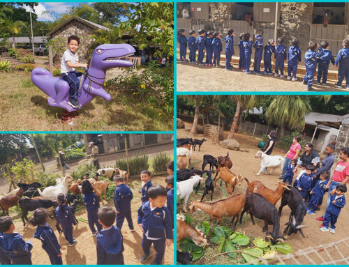 Field Trip for Kindergarteners: Our little adventurers galloping through a memorable day at Ecuries de Mon Rocher! 🐴🌟